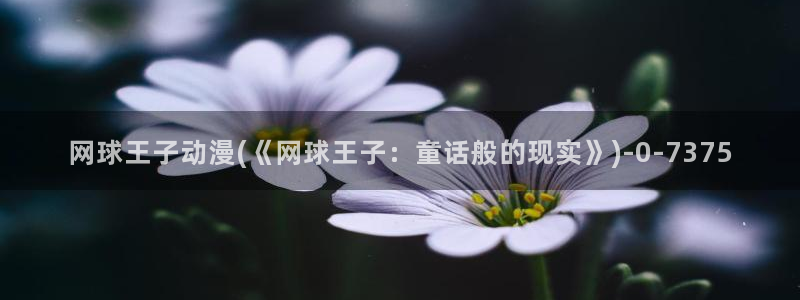 动漫a片:网球王子动漫(《网球王子:童话般的现实》)